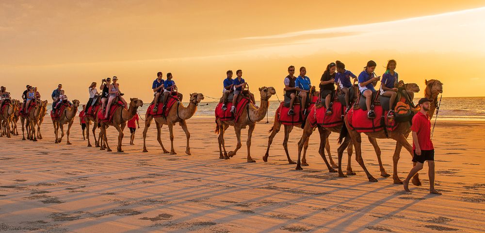 Group riding camels on a beach at sunset with golden sand and warm lighting.