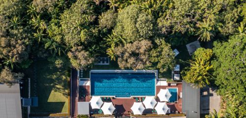 Aerial view of a luxury resort pool, with white umbrellas and lush greenery