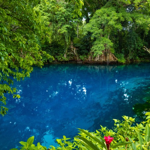 A serene lagoon with vivid blue water is surrounded by lush green forest. Sunlight filters through leaves, creating a tranquil, reflective scene.
