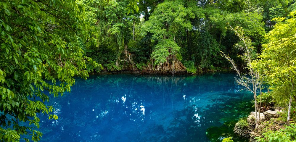 A serene lagoon with vivid blue water is surrounded by lush green forest. Sunlight filters through leaves, creating a tranquil, reflective scene.
