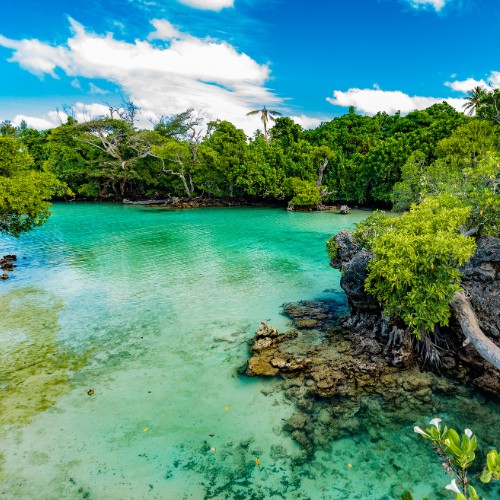 Lush green trees frame a serene, turquoise lagoon under a vibrant blue sky with fluffy clouds.