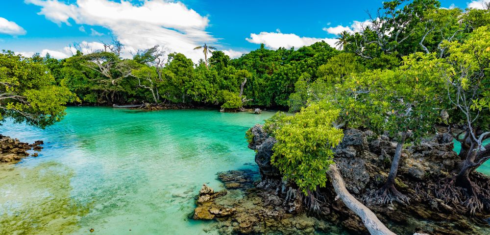 Lush green trees frame a serene, turquoise lagoon under a vibrant blue sky with fluffy clouds.