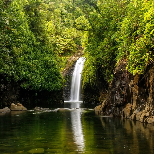 A serene waterfall cascades into a clear pool surrounded by lush green foliage and rocky cliffs. The tranquil scene conveys peace and natural beauty.