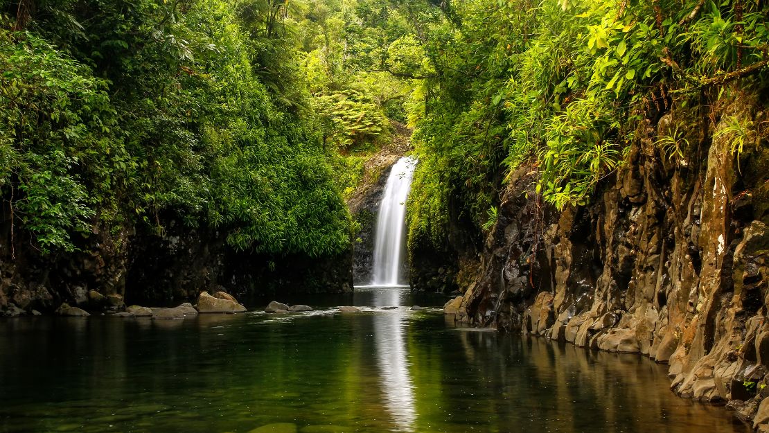 A serene waterfall cascades into a clear pool surrounded by lush green foliage and rocky cliffs. The tranquil scene conveys peace and natural beauty.
