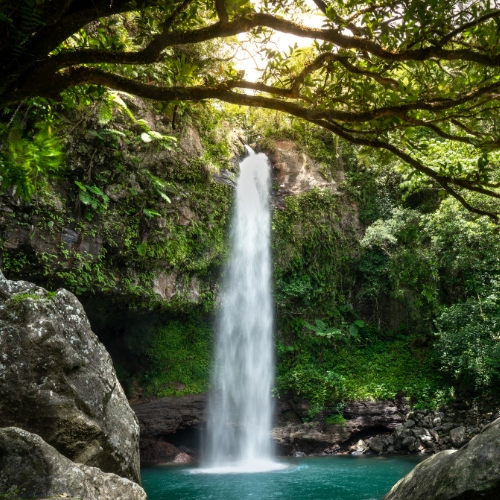 A serene waterfall cascades into a turquoise pool, surrounded by lush greenery and framed by rocky cliffs. Sunlight filters through overhanging branches.