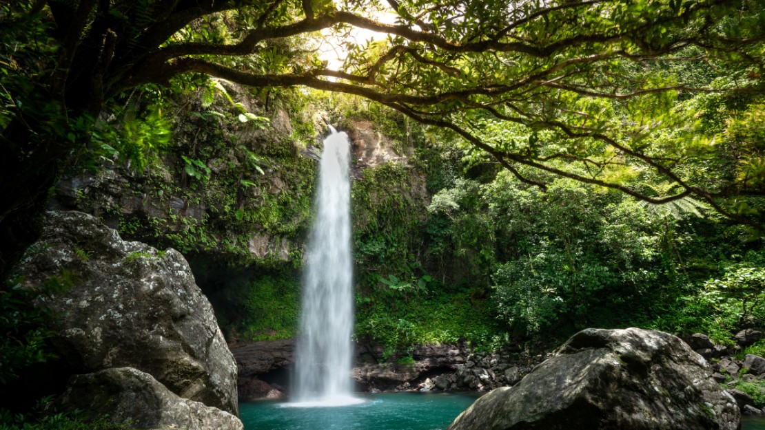 A serene waterfall cascades into a turquoise pool, surrounded by lush greenery and framed by rocky cliffs. Sunlight filters through overhanging branches.