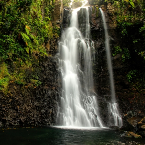 A serene waterfall cascades over dark rocks into a tranquil pool, surrounded by lush green vegetation, conveying a peaceful, natural ambiance.