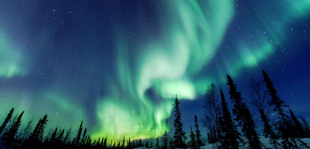 Vibrant green and blue auroras dance across a starry night sky, above dark silhouettes of trees in a snowy Canadian landscape.