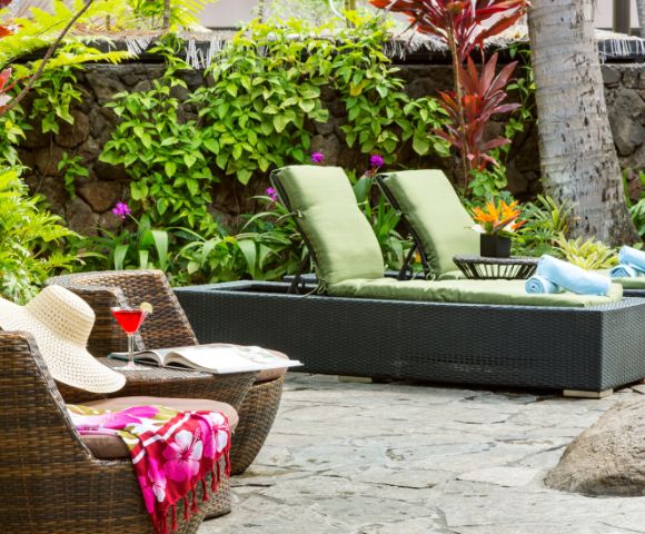 Close-up of tropical plants and flowers in a garden setting.