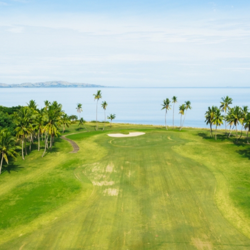 A lush golf course bordered by palm trees overlooks a calm ocean under a clear blue sky. The scene conveys tranquility and leisure.