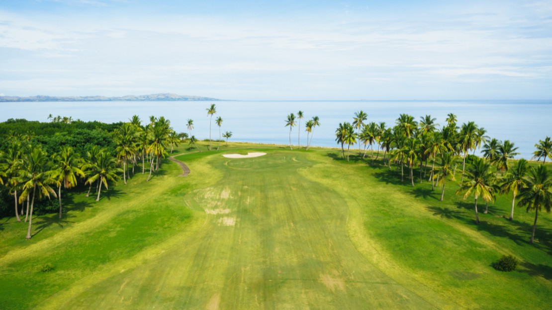 A lush golf course bordered by palm trees overlooks a calm ocean under a clear blue sky. The scene conveys tranquility and leisure.