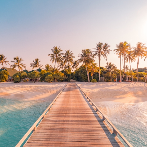 A tranquil beach scene at sunset with a wooden boardwalk leading to the shore, surrounded by lush palms and gentle waves, evoking a serene atmosphere.
