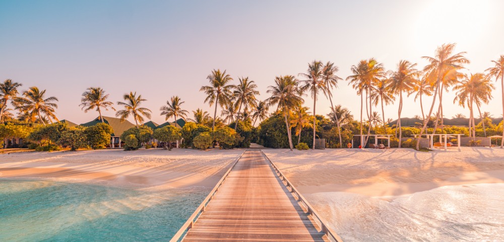 A tranquil beach scene at sunset with a wooden boardwalk leading to the shore, surrounded by lush palms and gentle waves, evoking a serene atmosphere.