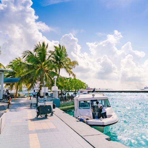 A sunny coastal scene with a white boat docked at a pier, surrounded by turquoise water and lush palm trees. The sky is bright with fluffy clouds.