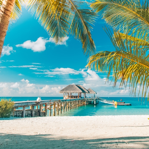Tropical beach scene with a wooden pier leading to a thatched hut over turquoise water. Palm trees frame the sunny, tranquil landscape.