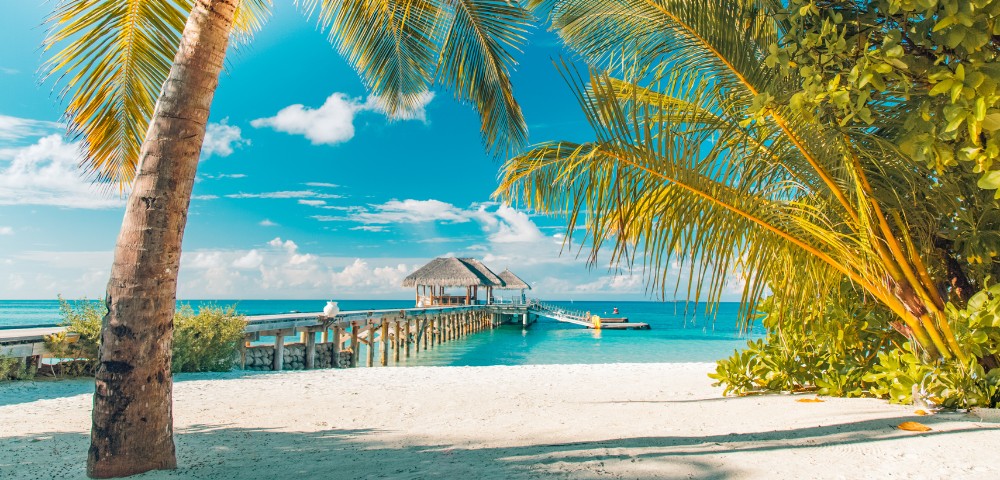 Tropical beach scene with a wooden pier leading to a thatched hut over turquoise water. Palm trees frame the sunny, tranquil landscape.