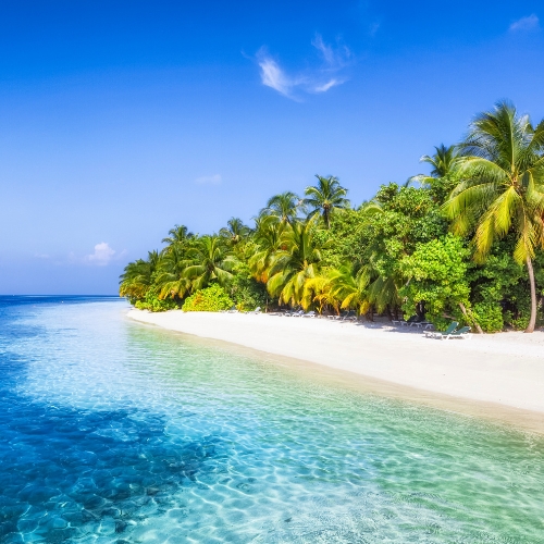 Tropical beach scene with clear turquoise water, white sand, and lush palm trees under a bright blue sky.