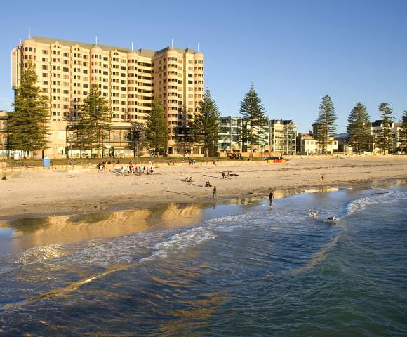 A beachfront hotel with palm trees under a clear blue sky.