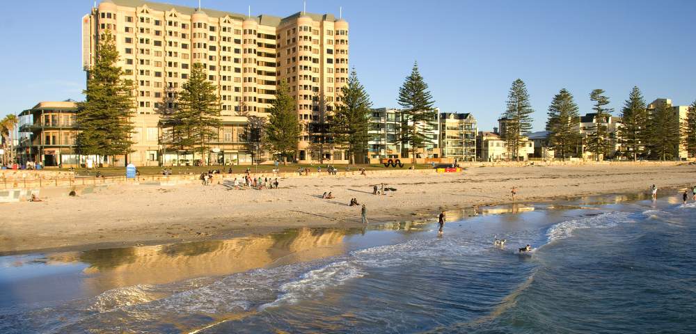 A beachfront hotel with palm trees under a clear blue sky.