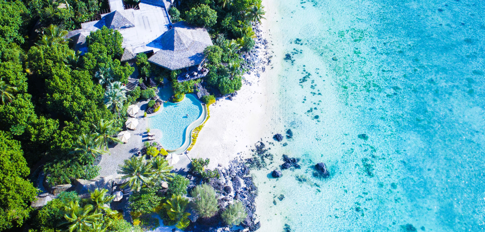 The image features a beautiful beach setting with a house situated on the sandy shore. The house is surrounded by palm trees, creating a tropical atmosphere. In the foreground, there is a large swimming pool, which adds to the luxurious and relaxing ambiance of the scene.