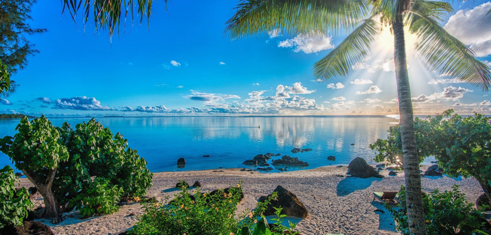 A serene beach scene with palm trees, clear blue water, and sun rays shining over gentle waves, evoking tranquility and natural beauty.