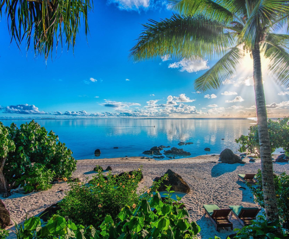A serene beach scene with palm trees, clear blue water, and sun rays shining over gentle waves, evoking tranquility and natural beauty.