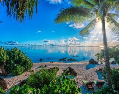 A serene beach scene with palm trees, clear blue water, and sun rays shining over gentle waves, evoking tranquility and natural beauty.