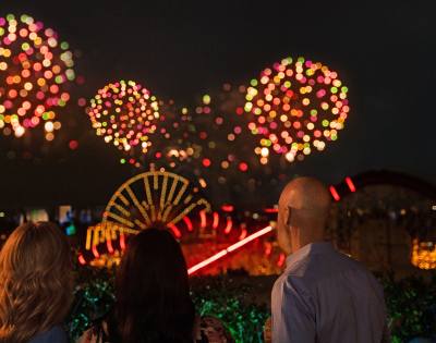 Nighttime fireworks display with spectators watching at a theme park setting.