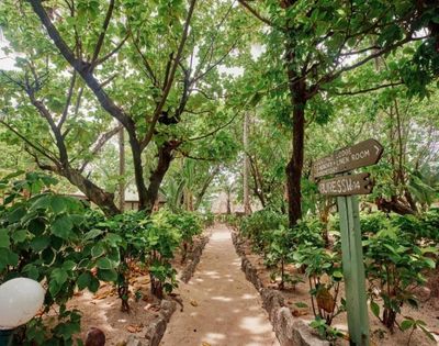 Sandy garden pathway bordered by small stone walls and lush greenery, with wooden signposts pointing to 'RECEPTION ROOM' and 'GUESTS VILLA' in a tranquil resort setting