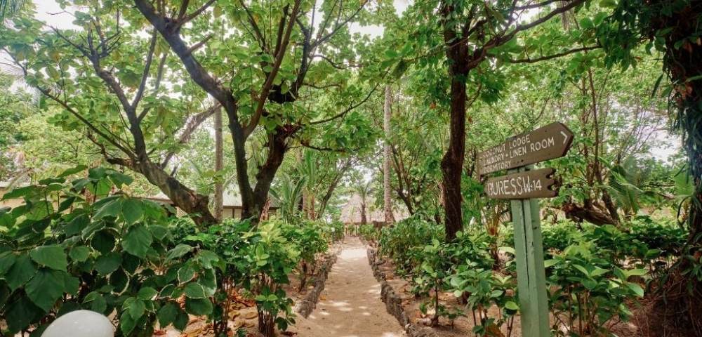 Sandy garden pathway bordered by small stone walls and lush greenery, with wooden signposts pointing to 'RECEPTION ROOM' and 'GUESTS VILLA' in a tranquil resort setting