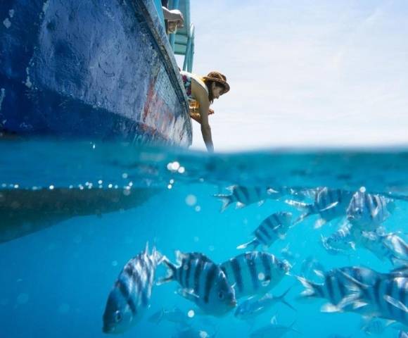 Person leaning over the side of a boat, reaching toward clear blue water with striped fish swimming below the surface, captured in a split-level view showing both above and below water