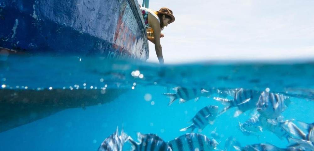 Person leaning over the side of a boat, reaching toward clear blue water with striped fish swimming below the surface, captured in a split-level view showing both above and below water