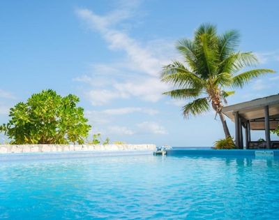 Outdoor swimming pool with clear blue water, surrounded by tropical greenery and a palm tree, with a nearby pavilion structure and a partly cloudy sky in the background