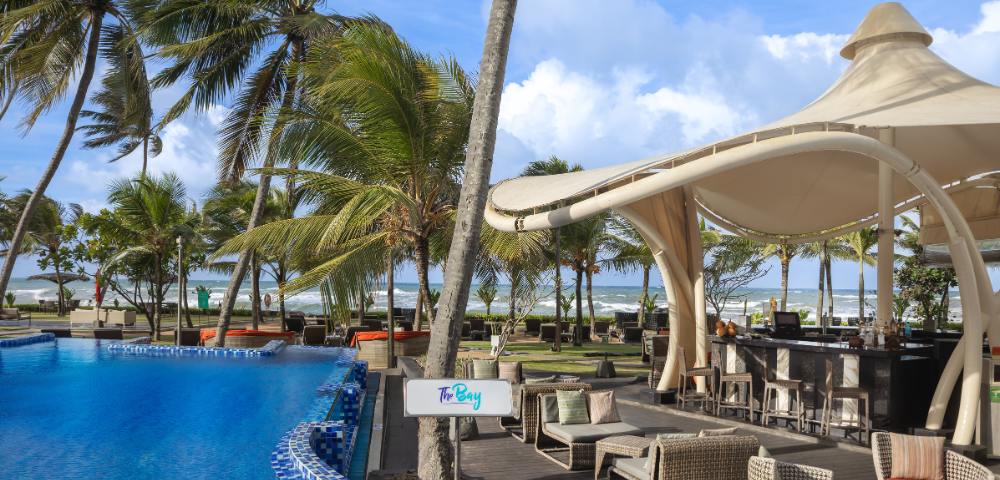 Outdoor pool area surrounded by palm trees and lounge chairs, designed for relaxation and leisure