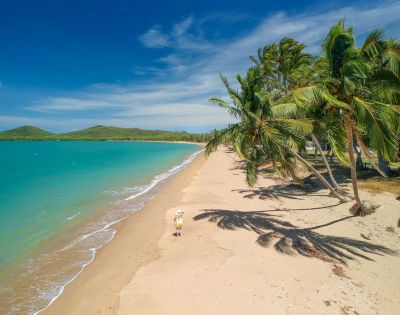 Pristine beach with white sand and palm trees under a clear sky.