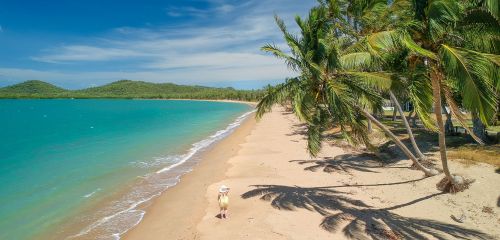 Pristine beach with white sand and palm trees under a clear sky.