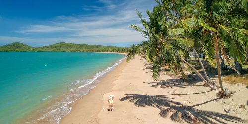 Pristine beach with white sand and palm trees under a clear sky.