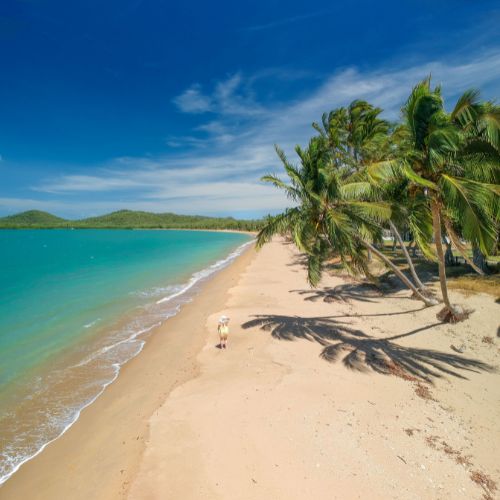 Pristine beach with white sand and palm trees under a clear sky.