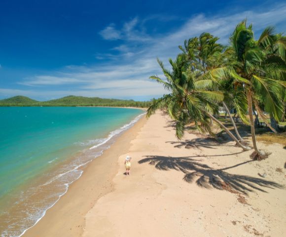 Pristine beach with white sand and palm trees under a clear sky.