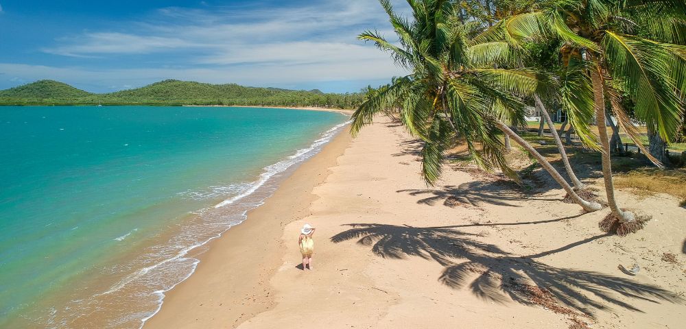 Pristine beach with white sand and palm trees under a clear sky.