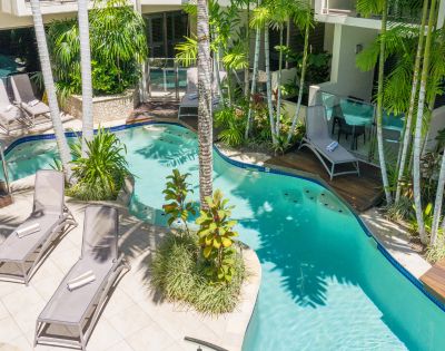 Swimming pool surrounded by palm trees and sun loungers in a tropical setting