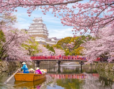 A traditional Japanese castle is surrounded by blooming cherry blossom trees, creating a picturesque spring scene. A red bridge crosses a calm waterway in front of the castle, adding vibrant contrast to the pink blossoms.