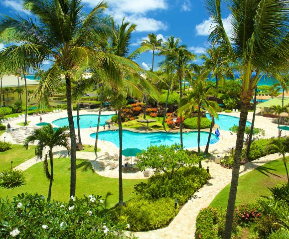 Lush tropical resort with a winding blue pool surrounded by palm trees and vibrant greenery. Ocean visible in the background under a bright blue sky.