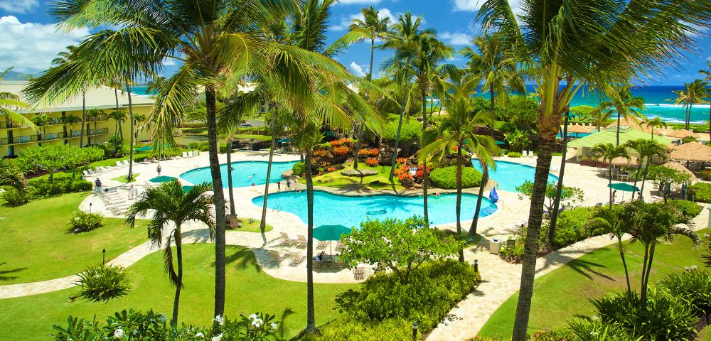 Lush tropical resort with a winding blue pool surrounded by palm trees and vibrant greenery. Ocean visible in the background under a bright blue sky.