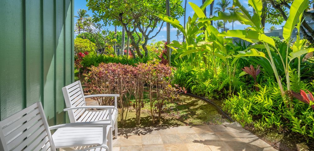 A sunlit garden patio with two white chairs on the left, overlooking vibrant green plants and trees. Bright, cheerful atmosphere under a clear blue sky.