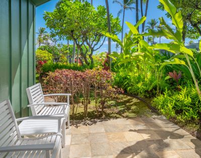 A sunlit garden patio with two white chairs on the left, overlooking vibrant green plants and trees. Bright, cheerful atmosphere under a clear blue sky.