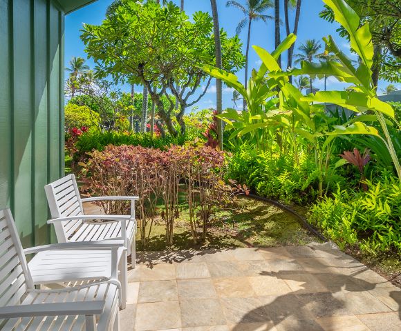 A sunlit garden patio with two white chairs on the left, overlooking vibrant green plants and trees. Bright, cheerful atmosphere under a clear blue sky.