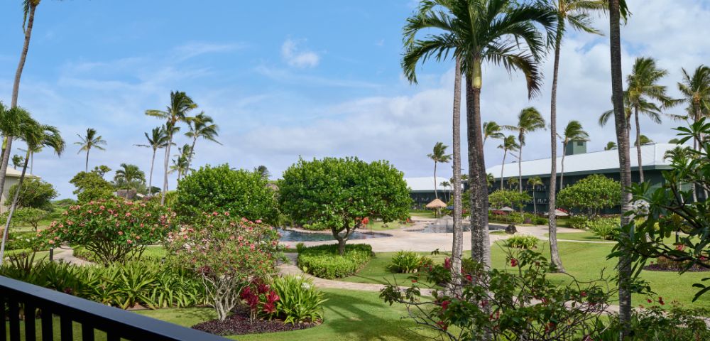 Signature Pool Ocean View Queen Image