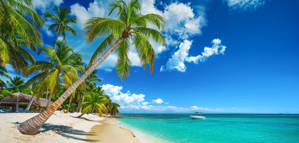 Tropical beach scene with leaning palm trees, white sand, and turquoise ocean under a vibrant blue sky. A small boat floats in the distance, evoking serenity.