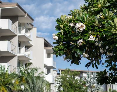 Modern apartment buildings with balconies against a blue sky, near leafy trees and blooming white flowers, convey a serene, urban setting.